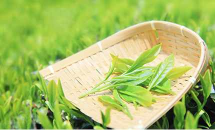 中醫(yī)類(lèi)項(xiàng)目可在西醫(yī)科室收費(fèi)！國(guó)家醫(yī)保局發(fā)布解讀明確中醫(yī)類(lèi)價(jià)格項(xiàng)目收費(fèi)方法